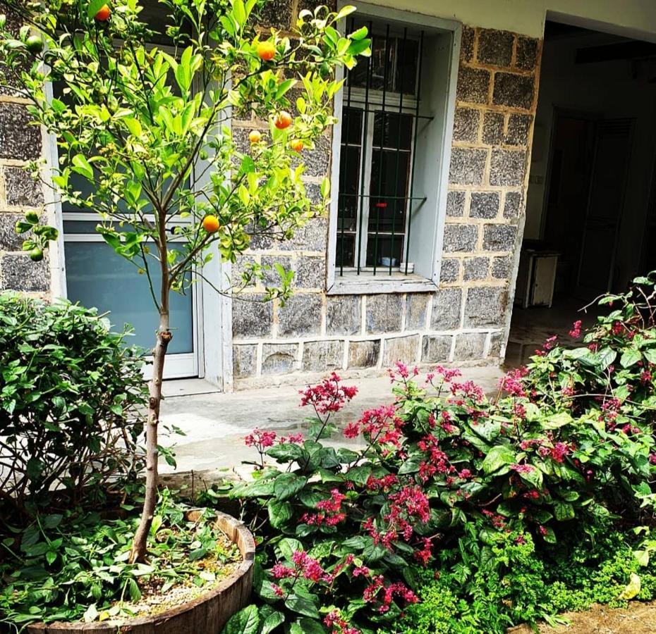 Berenice Winery Hotel ทิเบเรียส ภายนอก รูปภาพ