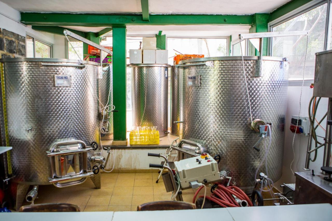 Berenice Winery Hotel ทิเบเรียส ภายนอก รูปภาพ